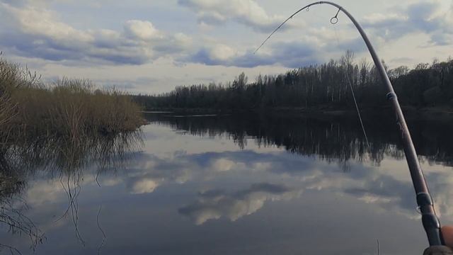 РЫБАЛКА ВЕСНОЙ на СПИННИНГ ?БАНДА в СБОРЕ ? ПОЙМАЛИ НЕ ВСЕ смотреть онлайн