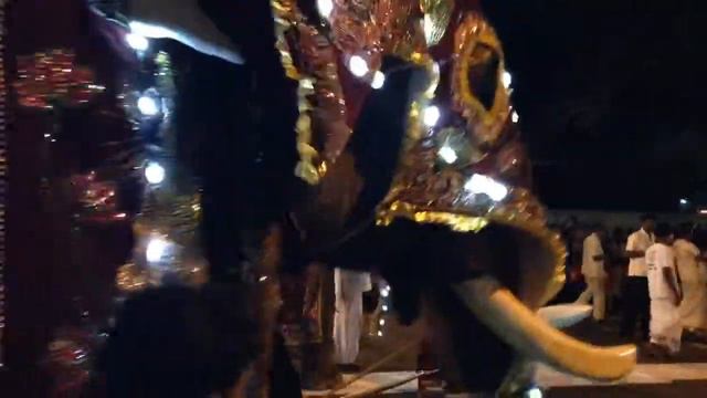 Шри Ланка. Перахера. смотреть онлайн