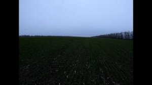 АгроВлог №2! Подкормка озимой пшеницы сульфатом аммония в начале февраля по снегу, зачем и почему?