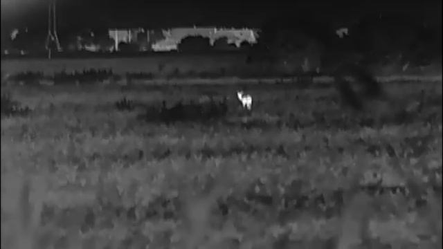 A Nagy Hőkamera Összehasonlítás смотреть онлайн