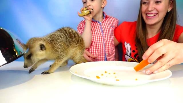 Обычная Еда против Мармелада Челлендж! МАМА ПЛАЧЕТ! CANDY CHALLENGE - Real Food vs Gummy Food смотреть онлайн