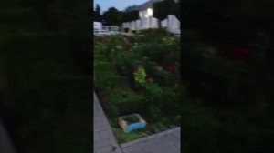 отдых в санатории Искра ( часть 2)