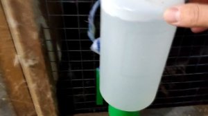 Чашечная поилка для кроликов. Использование, плюсы и минусы