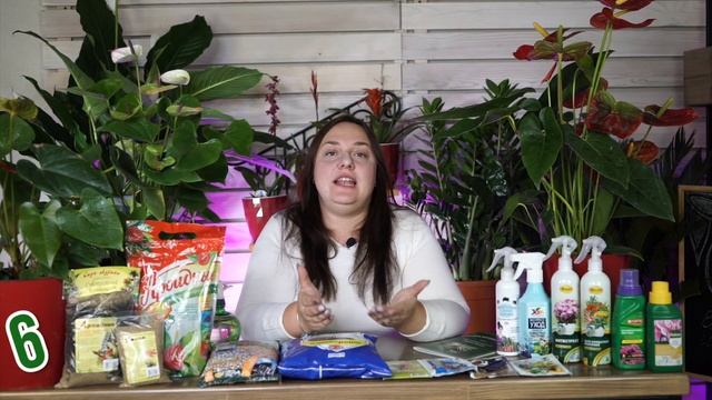 Желтеют Листья Антуриума ✔️ Чем Болеет Антуриум ✔️ Советы от garden zoo смотреть онлайн