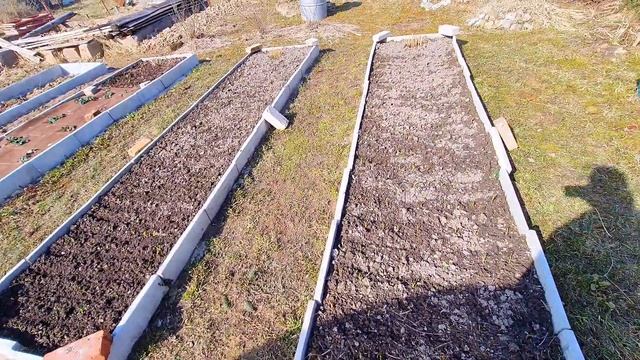 ПОСЕВ цветов НА РАССАДУ в теплицу | БАРХАТЦЫ астры АГЕРАТУМ алиссум смотреть онлайн