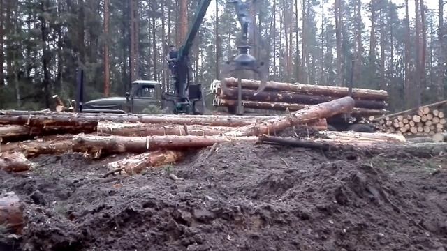 Вывозим льготный лес. Цена удовольствия)