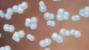 Скорость химической реакции, 1974