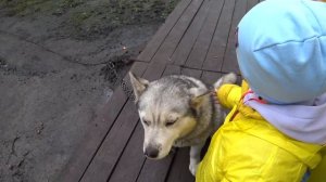 Саамская Деревня. Тундра. Олени. Кролики и Квадроциклы. Мурманская Область Автопутешествия по Росси