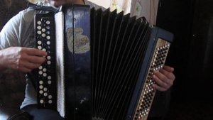 Джентельмены удачи на баяне-простые как Карибы