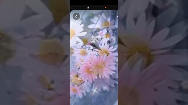 Радости в лукошко смотреть онлайн