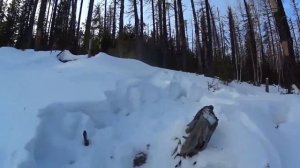 Поездка на снегоходах в тайгу| Брошенные зимовья| Стелс Stels капитан 150 long