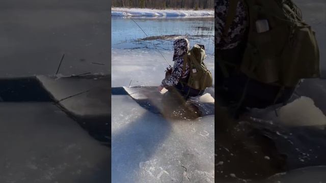 Провалился под лёд😱 #форель #рыбалка #fishing #река #river #nature #россия #лес #озеро #ультралайт