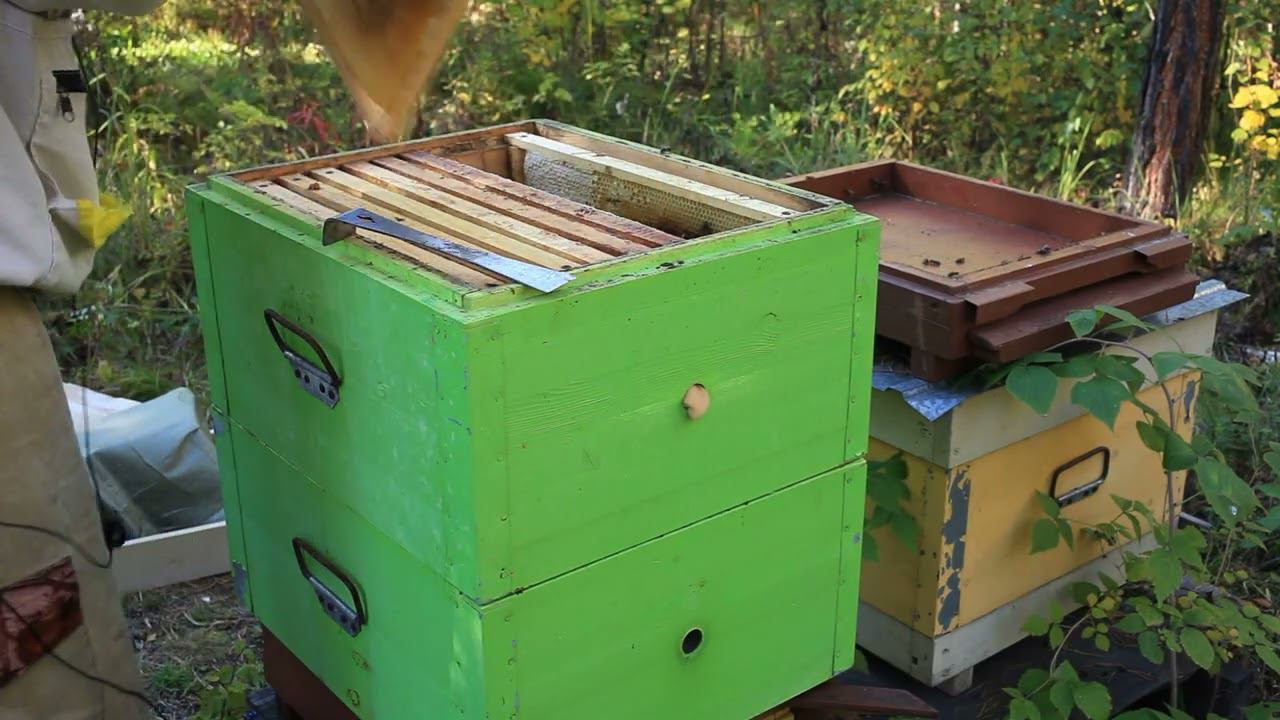 Смотрю ослабшие семьи, контроль состояния. смотреть онлайн