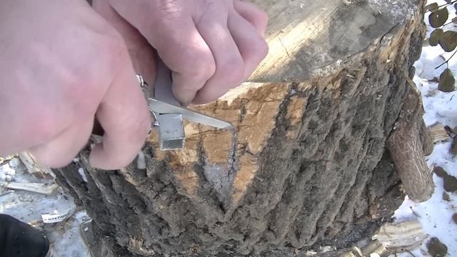 Victorinox SwissChamp тесты пилы по металлу и напильника порадовали Victorinox for life смотреть онлайн