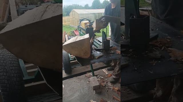 VID 20220808 131424 смотреть онлайн