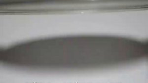 Купить тарелку для микроволновки Samsung 288 мм