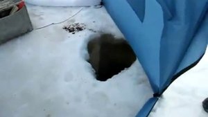 Зимняя рыбалка на леща. Тверь.