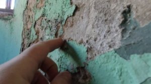 Черная лестница. Высолы на штукатурке. Старый фонд СПб.