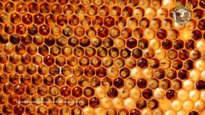 Вывод маток от личинки на нашей пасеке Часть1