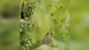 МОЩНАЯ МОЛИТВА АЛЛАХУ О ЛЮБОЙ ПОМОЩИ «О Аллах, помоги мне» (обязательно на коленях)