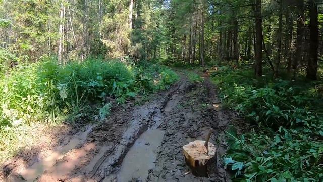 ПОСТРОИЛИ ДЕТСКИЙ ДОМИК-ИЗБУШКУ, ЖИЗНЬ В ДЕРЕВНЕ. ПОЕЗДКА В ЛЕС, ЗАСТРЯЛИ НА НИВЕ.