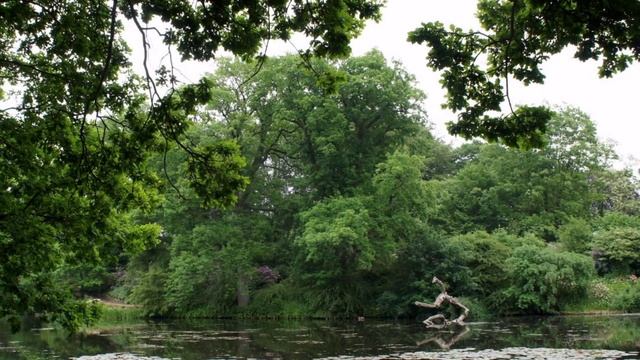 Magnificent Nature Wallpapers Gallery смотреть онлайн