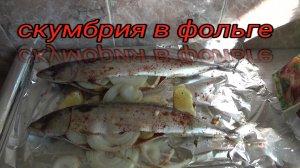 скумбрия в фольге на мангале,маринад для скумбрии с лимоном и луком,готовим скумбрию на костре