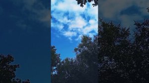 Что такое ограничивающие убеждения .Какой от них  вред  ?Как избавиться от этих убеждений?