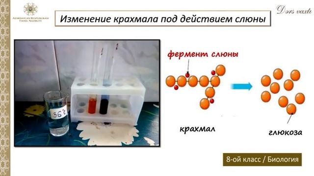 “Dərs vaxtı”: 8-ci sinif dərsləri (rus bölməsi) (11.02.2022) смотреть онлайн