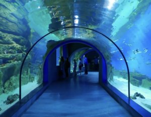 Москвариум. Москва