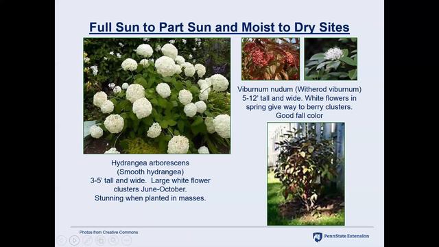 Gardening for Clean Water смотреть онлайн