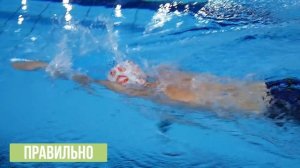САМЫЙ ВАЖНЫЙ ВЫПУСК ПРО ОШИБКИ ПЛАВАНИЯ КРОЛЕМ