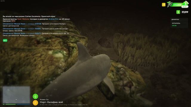 ТОП 3 БАГА НА GTA 5 RADMIR RP, БАГ БЕСКОНЕЧНОЙ МОНТИРОВКИ? смотреть онлайн