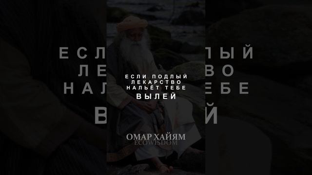 Омар Хайям. Знайся только с достойными дружбы людьми #стихиодружбе #цитаты #дружба #омархайям