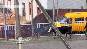 40  Рутульский район с  Мишлеш 3