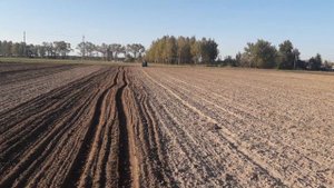 Посев пшеницы самодельной сеялкой