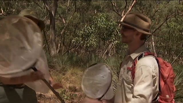 Insect Extinction - Behind the News смотреть онлайн