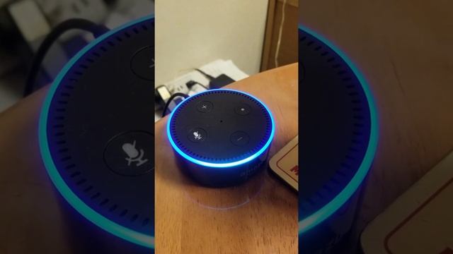 Echo Dot: Lost Connection