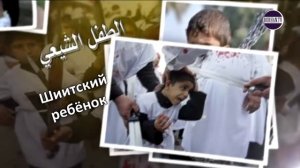 Разница между воспитанием ребёнка суннита и шиита