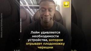 История успеха: иммигрант из Сенегала Хаби Лейм — от мойщика окон до звезды TikTok