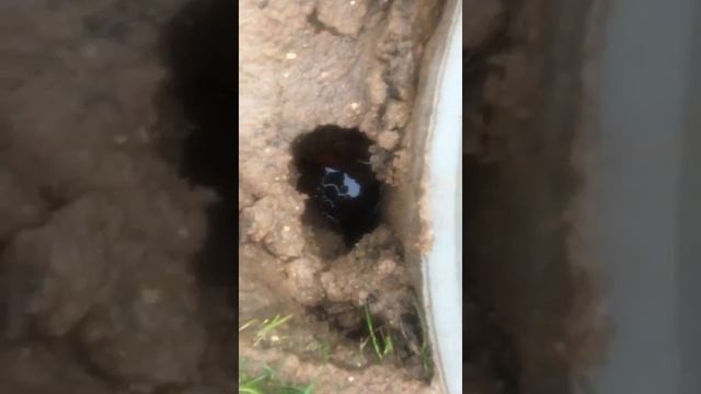 Перелив между септиками(септик 3+3) смотреть онлайн