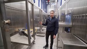 Модульный убойный цех. Убой скота. Переработка мяса