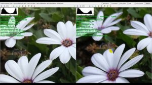 Сравнение камер iPhone 7 Plus vs Xiaomi Redmi Note 5 фотографии и видео 4K