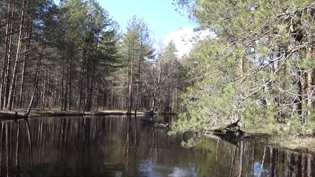 Река Нерская, на катамаране смотреть онлайн