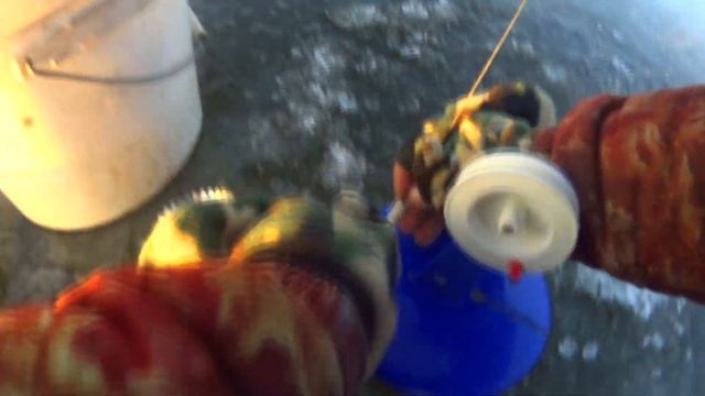 Зимняя рыбалка 2020. Первый лед. Рыбалка на вилейском водохранилище!! смотреть онлайн