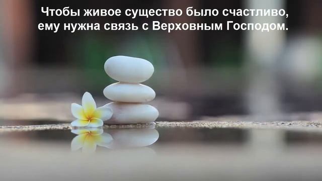 Что такое настоящая медитация? смотреть онлайн