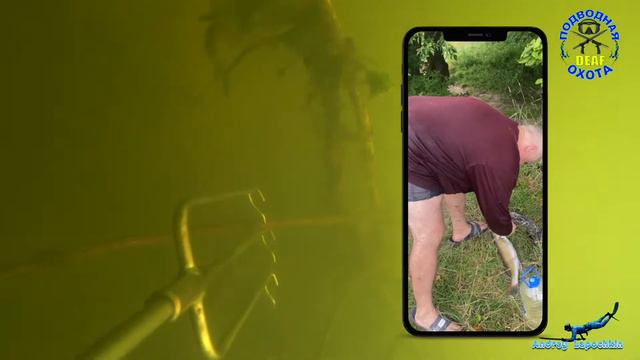 Подводная охота ДЕАФ 17/08/2022 смотреть онлайн