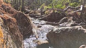 Авто путешествие на водопад Гадельша, Башкирия. 07.05.2023