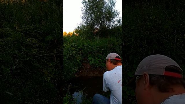 Рыбалка в Сарапуле