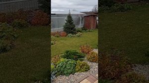 Ландшафтный дизайн. Пример небольшого оформления сада.